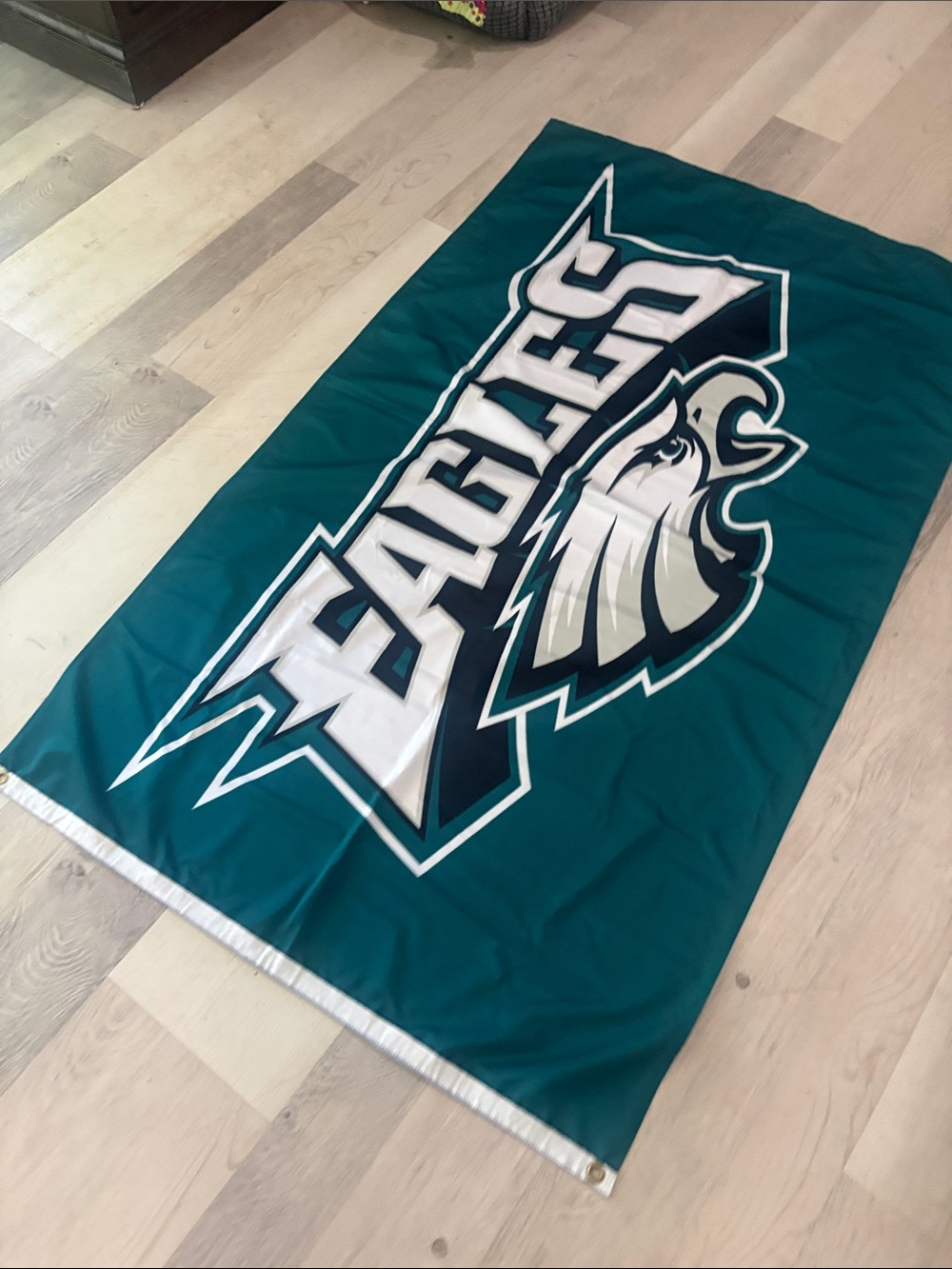 Philadelphia Eagles   🦅 Flag  new